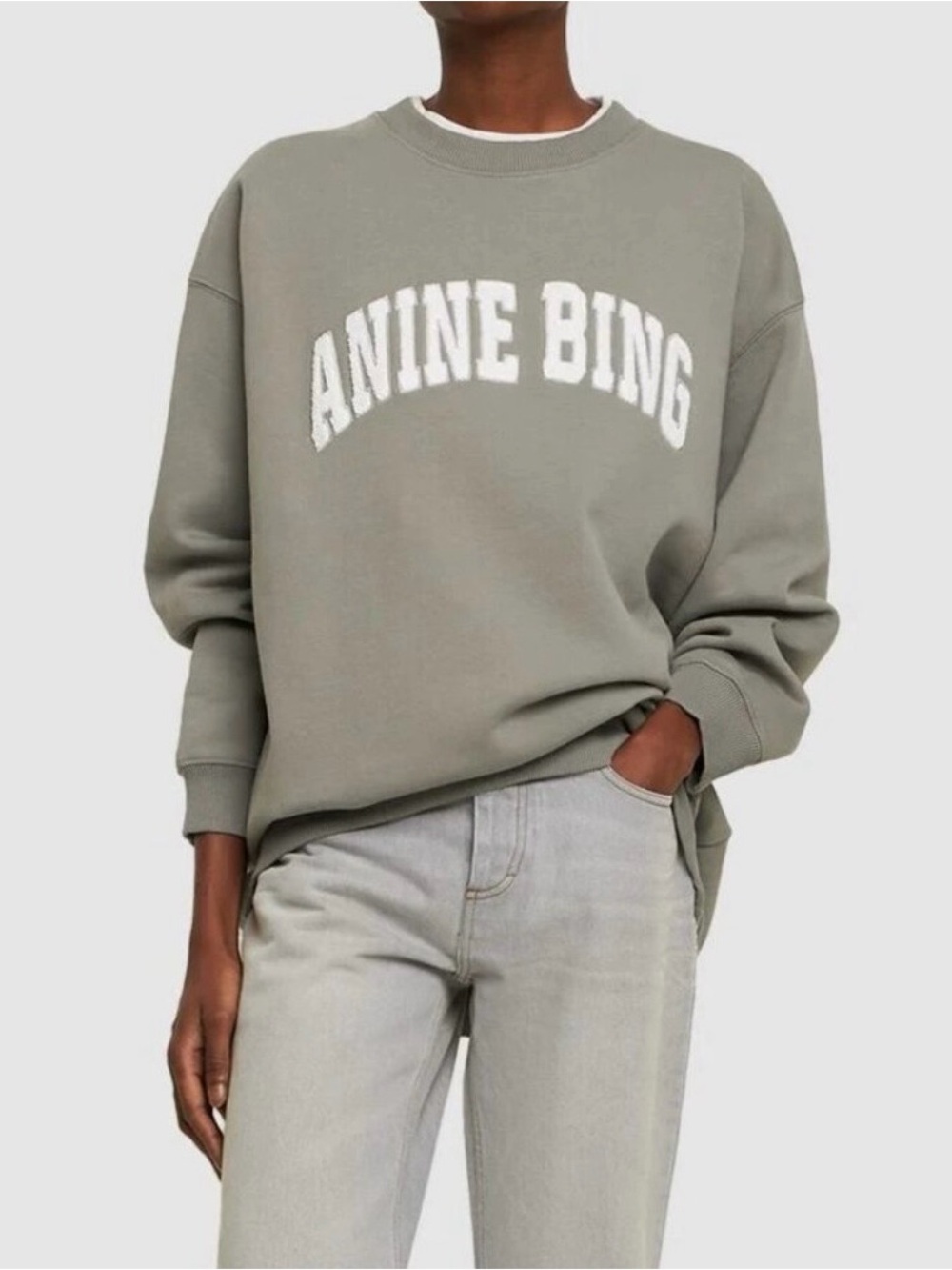 Anine Bing Tyler Sweatshirt, L - Picture 1 of 9